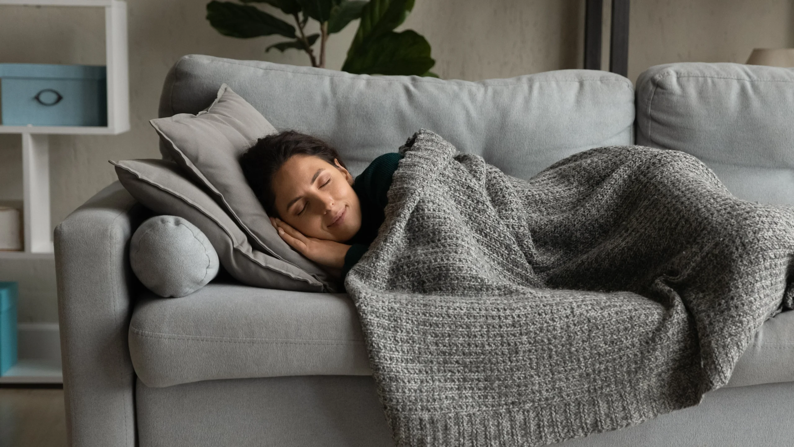 sommeil polyphasique